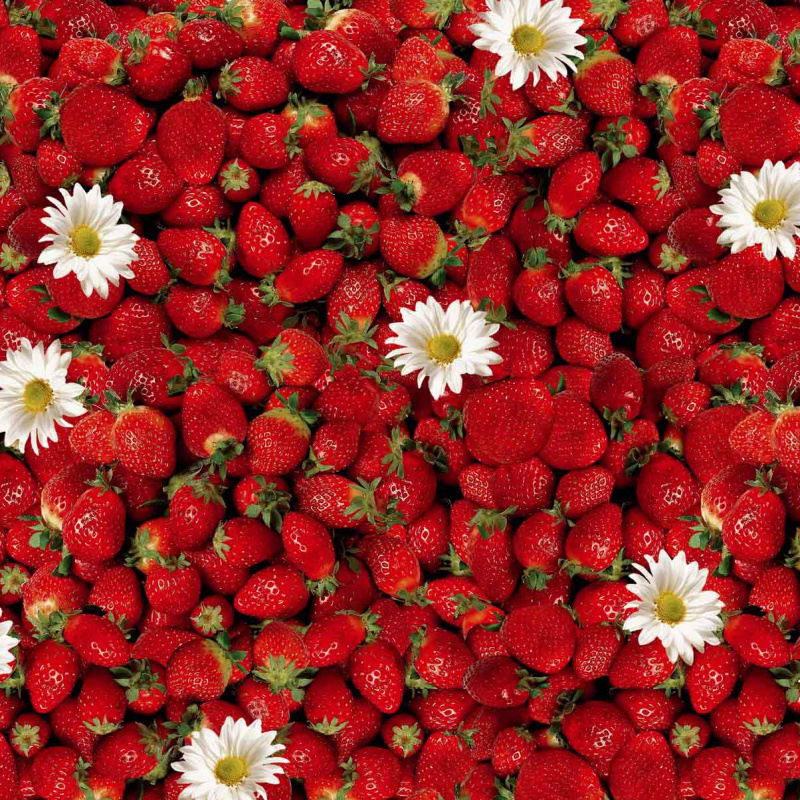 Ubrus PVC oválný FL-1156 - Jahody (různé velikosti)