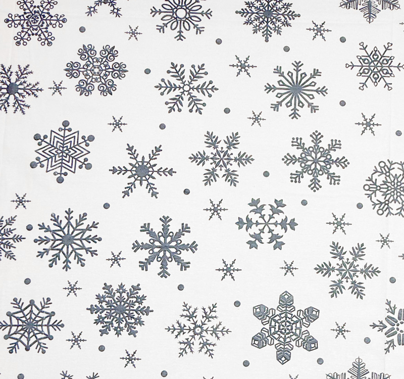 Ervi povlak na polštář bavlněný s lemem - Zimní kouzlo