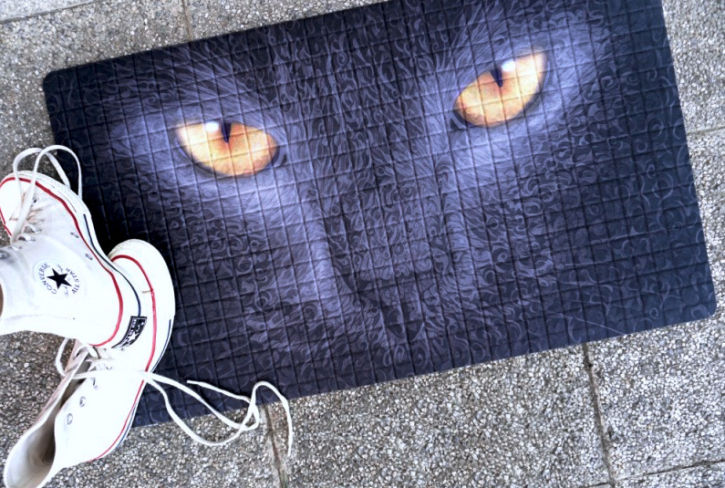 Multifunkční kobereček - Cat, 45x75 cm
