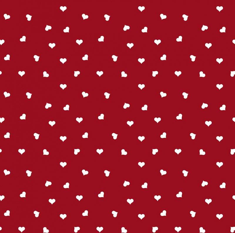 Ubrus PVC  FL-1118-01 - Role 140cmx 20m