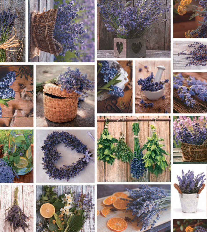 Ubrus PVC kulatý Mo-6284 - Vůně provence (různé velikosti)